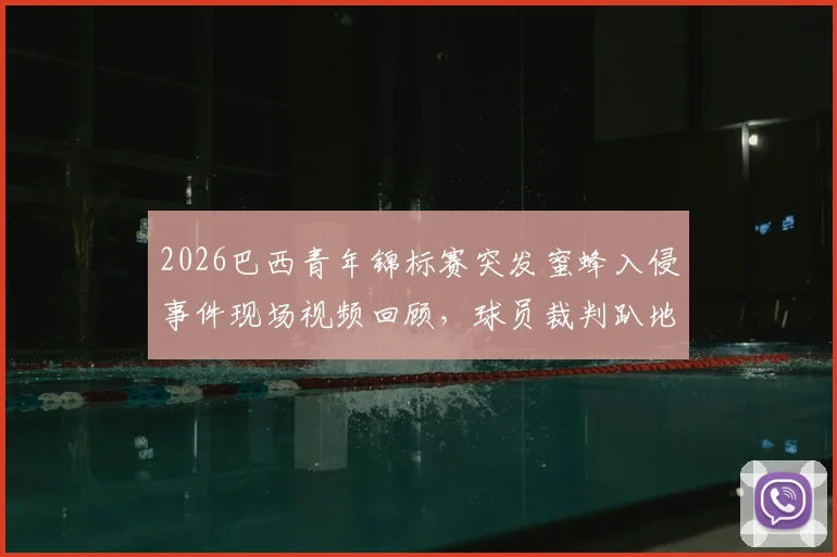 2026巴西青年锦标赛突发蜜蜂入侵事件现场视频回顾，球员裁判趴地躲避原因分析