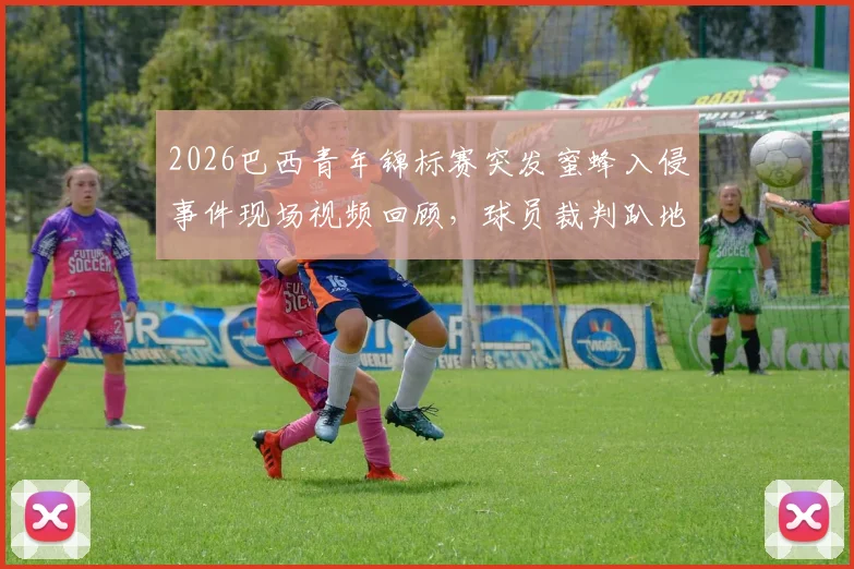 2026巴西青年锦标赛突发蜜蜂入侵事件现场视频回顾，球员裁判趴地躲避原因分析
